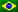 Português flag