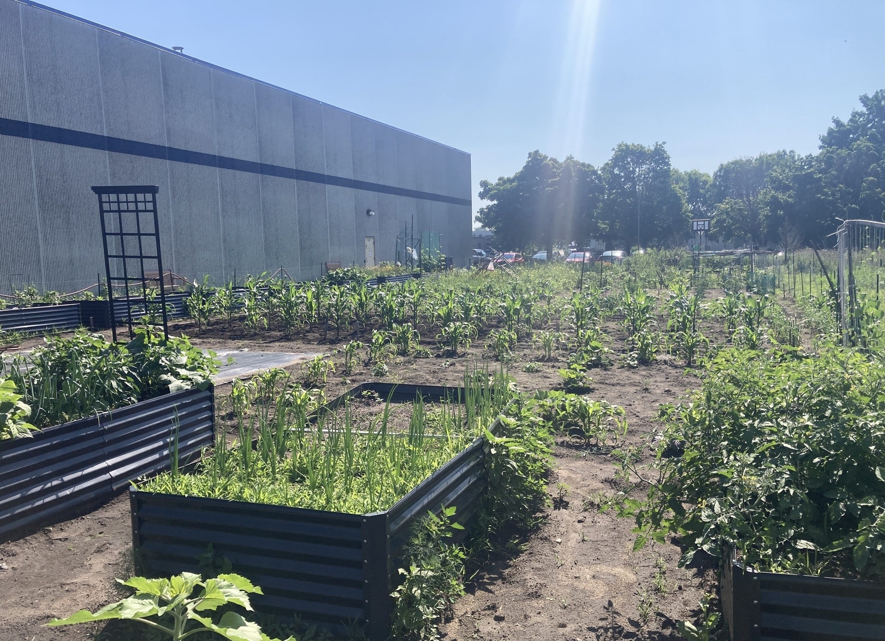 giardino apg